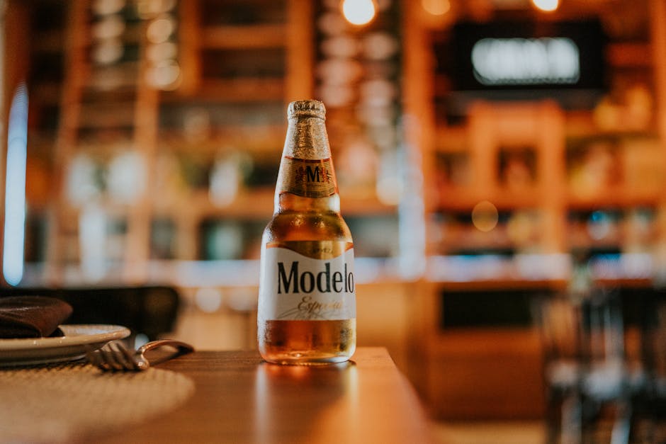Modelo øl